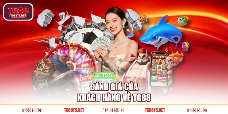 Đánh giá của khách hàng về chúng tôi TG88